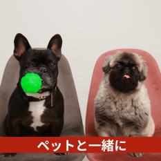ペットフォト